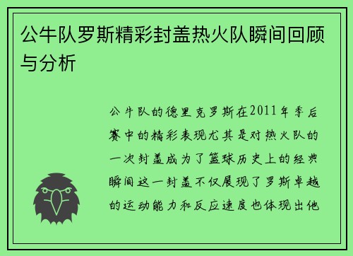公牛队罗斯精彩封盖热火队瞬间回顾与分析