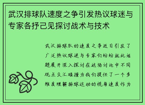 武汉排球队速度之争引发热议球迷与专家各抒己见探讨战术与技术