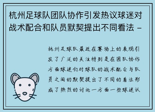 杭州足球队团队协作引发热议球迷对战术配合和队员默契提出不同看法 - 副本